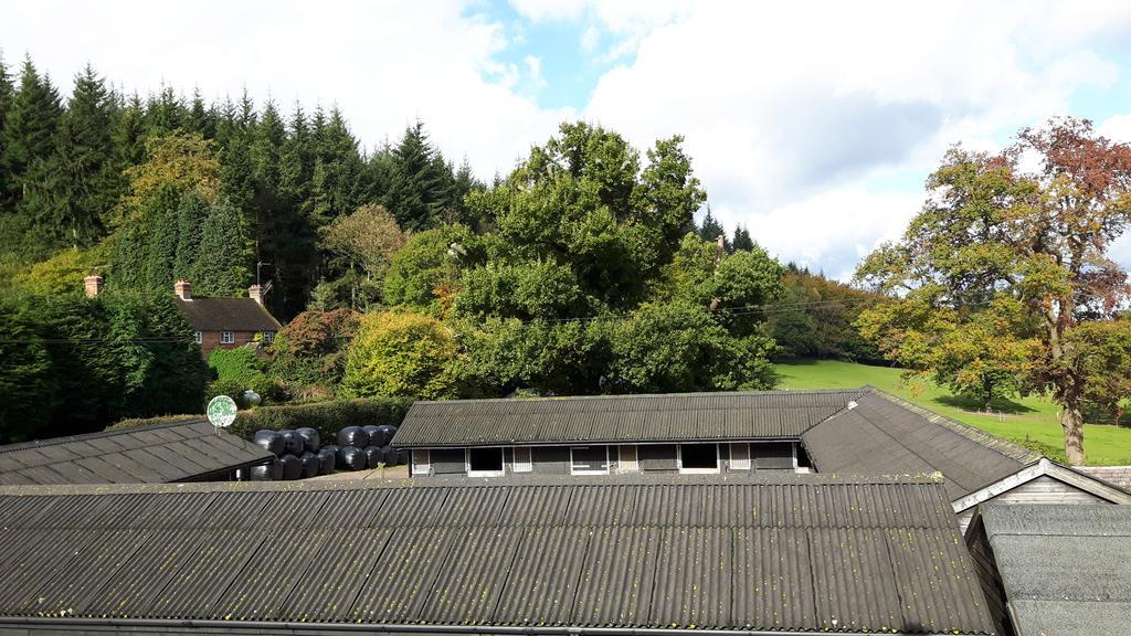 Villa Crockers Farm Dorking Exterior foto