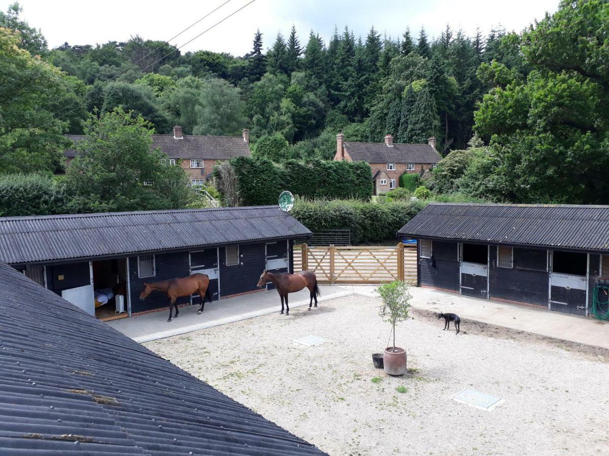 Villa Crockers Farm Dorking Exterior foto
